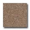 Santa Regina Santa Regina Designer 16 X 16 (polished) Toasted Wheat Terrazzo