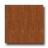 Congoleum Congoleum Forum Plank - Danbury Oak Dark Red Oak Vinyl Flooring