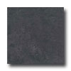 Ergon Tile Ergon Tile Alabastro Evo 12 X 12 Polished Carbone Tile  &  Stone