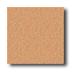 Mannington Mannington Biospec Citrus Vinyl Flooring