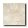 American Olean American Olean Serramonte 12 X 12 Whitecap Tile  &  Stone