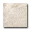 Tesoro Tesoro Amalfi 8 X 12 Perla Tile  &  Stone