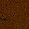 APC Cork Apc Cork Floor Tile 4.8mm Mirage Brown Cork Flooring