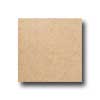 Interceramic Interceramic Colortrends 16 X 16 Gold Tile  &  Stone