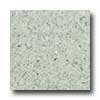 Santa Regina Santa Regina Designer 16 X 16 (natural) Sage Terrazzo Tile