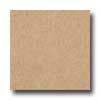 Armstrong Armstrong Cushionstep Best - Universal Sahara Vinyl Flooring