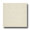 Armstrong Armstrong Medintech Homogeneous Freesia Pearl Vinyl Flooring