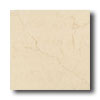 Daltile Daltile Capella 12 X 12 Adriana Creme Tile  &  Stone