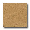 APC Cork Apc Cork Naturals Mars Cork Flooring