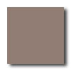 Crossville Crossville Cross-colors B 12 X 12 Polished Antico Taupe Tile  &  S