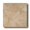 American Olean American Olean Calliano 18 X 18 Noce Tile  &  Stone