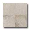 Daltile Daltile Willow Canyon 12 X 18 Cliffside Tile  &  Stone
