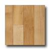 Zickgraf Zickgraf Casual Collection 2 1 / 4 Maple Natural Hardwood Flooring