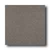 American Olean American Olean Terra Paver Unpolished 8 X 8 Lava Gray Tile  &  Sto