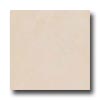 Bella Cera Bella Cera Fuste 18 X 18 Crema Tile  &  Stone