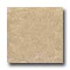 American Florim American Florim Vezelay 18 X 18 Dijon Tile  &  Stone