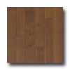 Harris-Tarkett Harris-tarkett Artisan Profiles Maple Dark Bronze Hardwood Floor