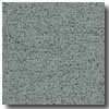 Armstrong Armstrong Safeguard Slip-retardant Mint Vinyl Flooring