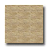 Mannington Mannington Monterey 12 X 12 Beige Tile  &  Stone