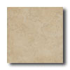 Del Conca Del Conca Hsf 6 X 12 01 Tile  &  Stone