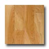 Hartco Hartco Metro Classics 3 Cherry Natural Hardwood Flooring