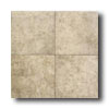 American Olean American Olean Porte Leona 18 X 18 Noce Tile  &  Stone