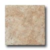 American Florim American Florim Navajo 18 X 18 Sagebrush Tile  &  Stone