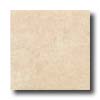Armstrong Armstrong Jerusalem Stone 8 X 10 Jerusalem Stone Tile  &  Stone