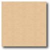 Congoleum Congoleum Forum Plank - Colonial Cherry Natural Cherry Vinyl Flo