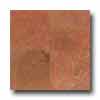 Daltile Daltile Travertine Natural Stone Honed 12 X 12 Bandar Red Tile  &