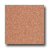 Armstrong Armstrong Medintech Homogeneous Melon Vinyl Flooring