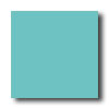 American Olean American Olean Unglazed Ceramic Mosaics 1 X 1 Marine Tile  &  Ston