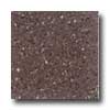 Santa Regina Santa Regina Architectural 24 X 24 (antique) Plum Terrazzo Tile
