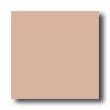 American Olean American Olean Unglazed Ceramic Mosaics 2 X 2 Dusty Rose Tile  &