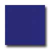 Marazzi Marazzi I Colori 12 X 12 Blue Tile  &  Stone