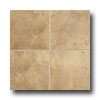 Mohawk Mohawk Artesia 6 X 6 Umber Tile  &  Stone