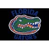 Logo Rugs Logo Rugs Florida University Florida Entry Mat 2 X 2 Area Rugs