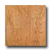 Harris-Tarkett Harris-tarkett Artisan Sculptures American Cherry Natural Hardwo