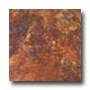 Tilecrest Tilecrest Jocelyn 6 1 / 2 X 6 1 / 2 Rosso Tile  &  Stone