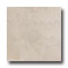 Crossville Crossville Buenos Aires Mood 4 X 24 Polished Polo Tile  &  Stone