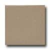 Daltile Daltile Modern Dimensions 4 1 / 4 X 8 1 / 2 Elemental Tan Matte Tile