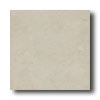 Del Conca Del Conca Js 6 X 12 10 Tile  &  Stone