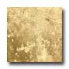 Azuvi Azuvi Celtia 20 X 20 Textured Non-rectified Noce Tile  &  Stone