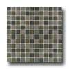 Daltile Daltile Maracas Glass Mosaics - Glossy Blend Everglades Tile  &  S