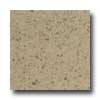 Daltile Daltile Granati Polished 12 X 12 Giallo Veneziano Tile  &  Stone
