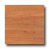 Earth Werks Earth Werks Aberdeen Plank 4926 Vinyl Flooring