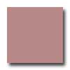 Daltile Daltile Design Porcelain Polished 12 X 12 Ametista Tile  &  Stone