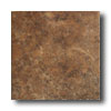 American Olean American Olean Stoneleigh 12 X 12 Birmingham Brown Tile  &  Stone