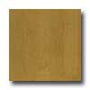 Anderson Anderson Rhino Northern Maple Plank 5 Toast Hardwood Flooring
