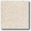 Daltile Daltile Vitrestone Select 12 X 12 Brownstone Tile  &  Stone